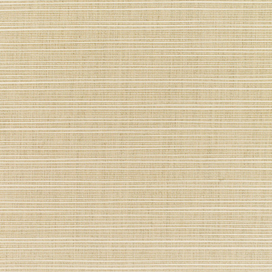 Dupione Sand with RAIN finish 8011-0000 77 Vista más amplia