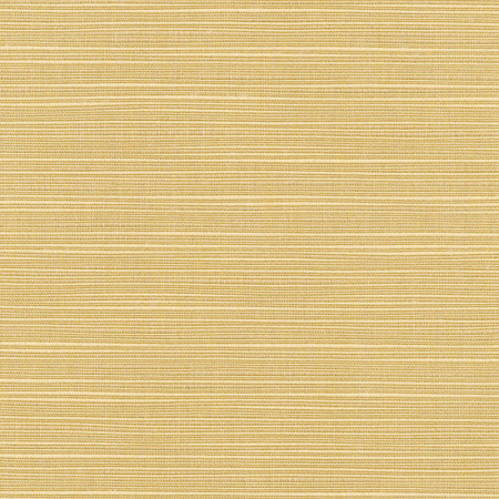 Dupione Bamboo with RAIN finish 8013-0000 77