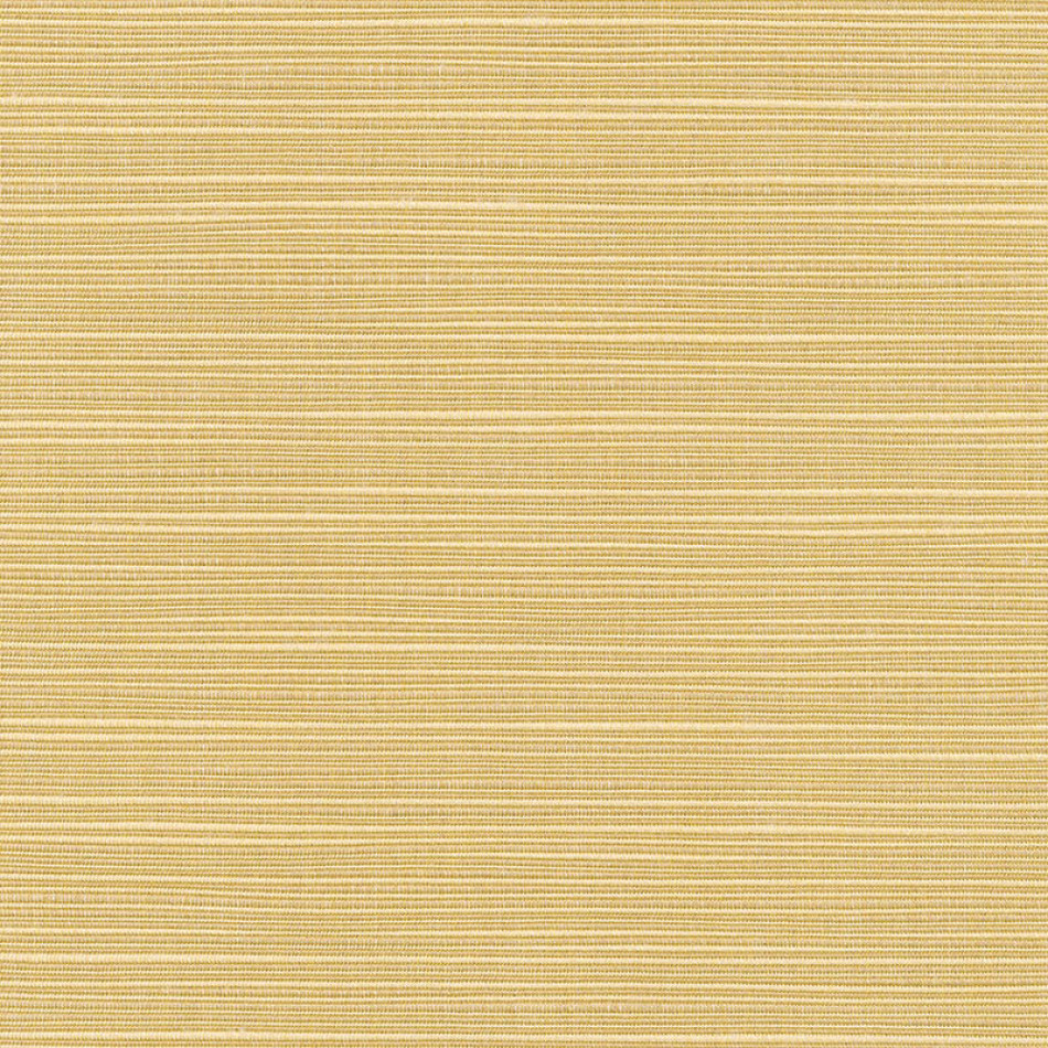 Dupione Bamboo with RAIN finish 8013-0000 77 Larger View