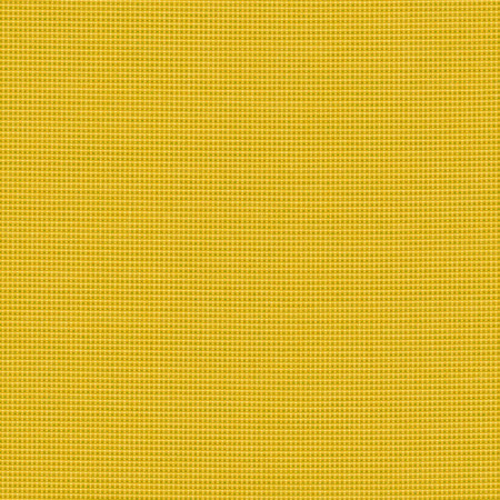 Bengali Yellow BEN 10156 140
