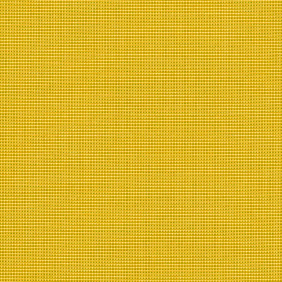 Bengali Yellow BEN 10156 140 Vue agrandie