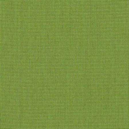 Bengali Bamboo BEN 10167 140