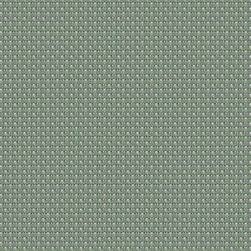 Mild Algae MILD 2107 300 大图	