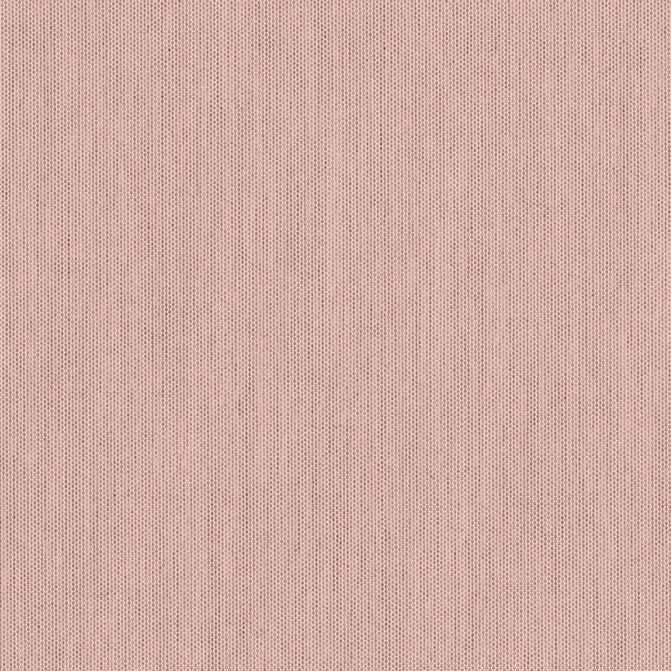 Canvas Blush SJA 3965 137 Vista más amplia