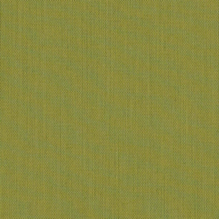 Canvas Lichen SJA 3970 137