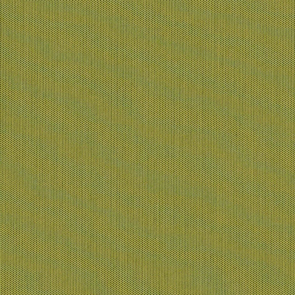 Canvas Lichen SJA 3970 137 Larger View