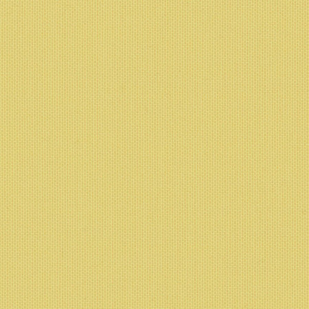 Canvas Canary SJA 3984 137
