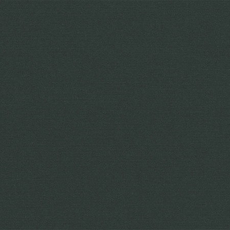 Dark Green SUNB P016 152