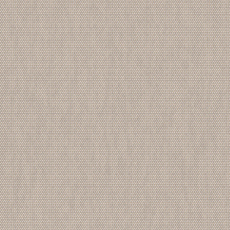 Velum Beechwood VLM 2026 300