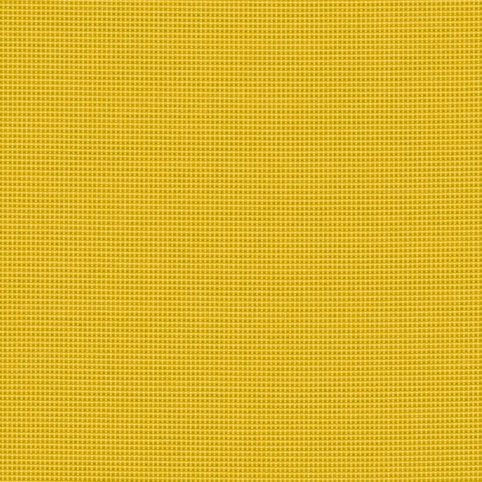 Bengali Yellow BEN 10156 140 大图	